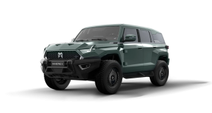 Vanjing Green